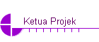 Ketua Projek